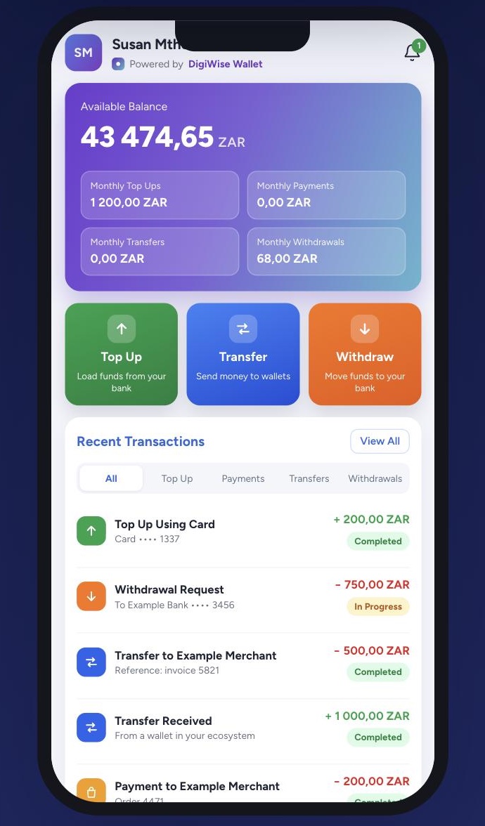 The DigiWise Wallet product as shown on digiwisewallet.com